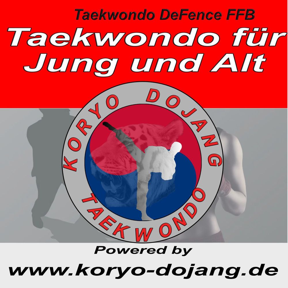 Taekwondo DeFence - Selbstverteidigung  Streetfight FFB