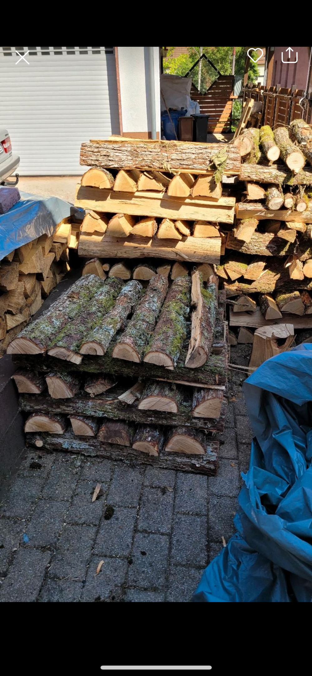 Brennholz Eiche Buche