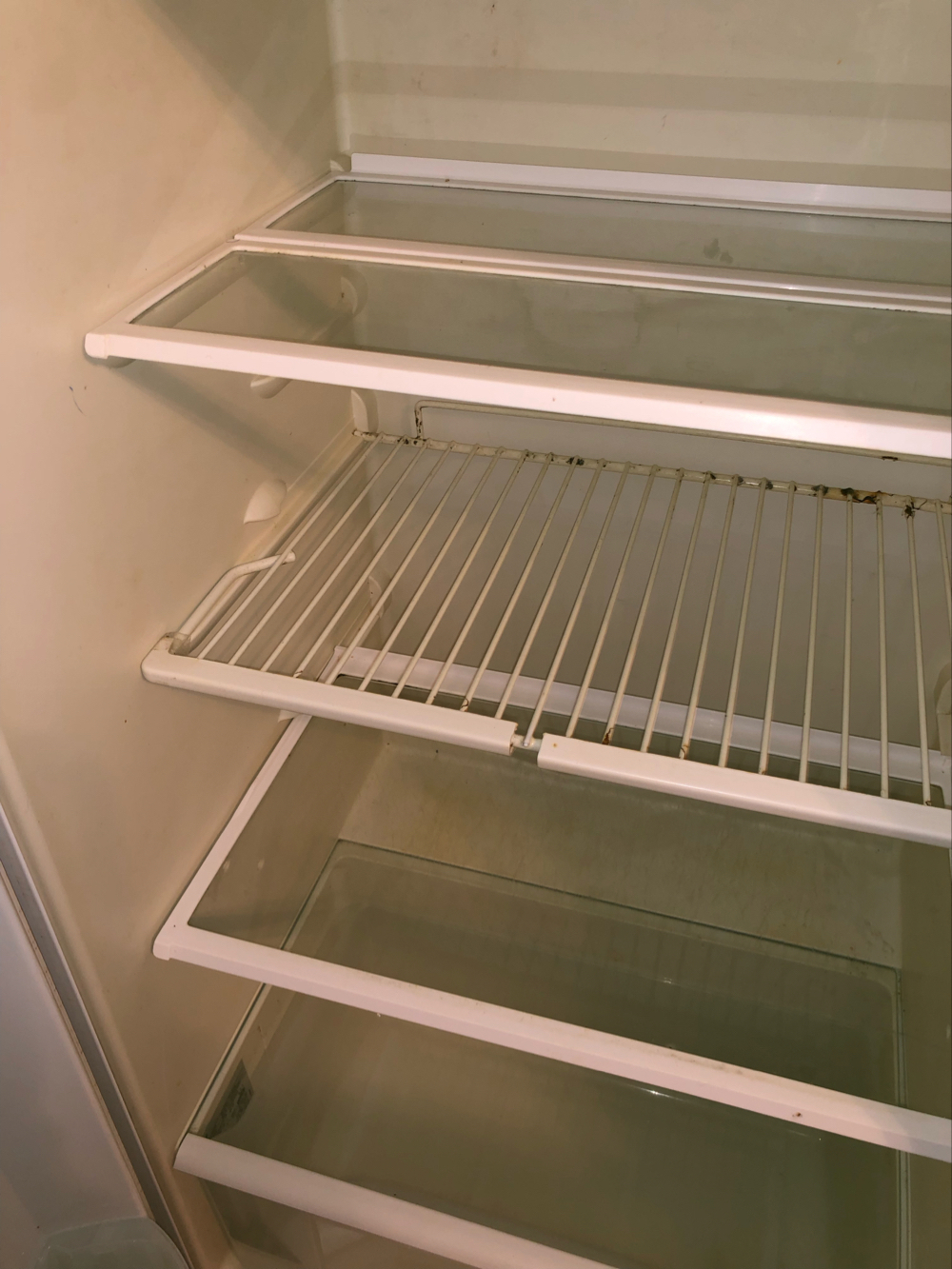 Kühlschrank in weiß Einbaukühlschrank