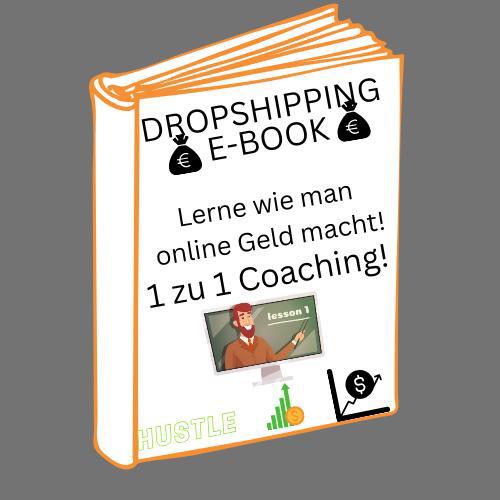 1 zu 1 Dropshipping Coaching E-Book