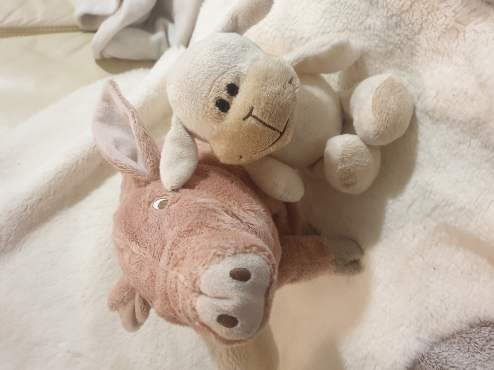 Schweinchen und Teddybär