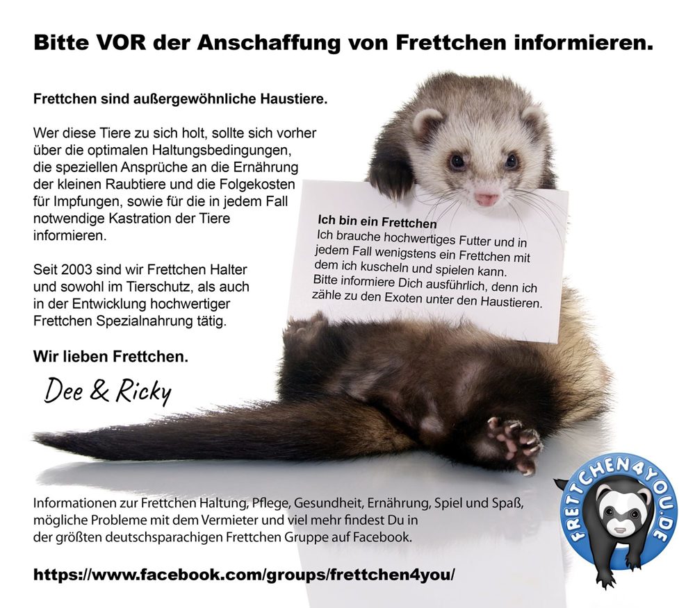 Frettchen Ernährung Ratgeber als PDF Download