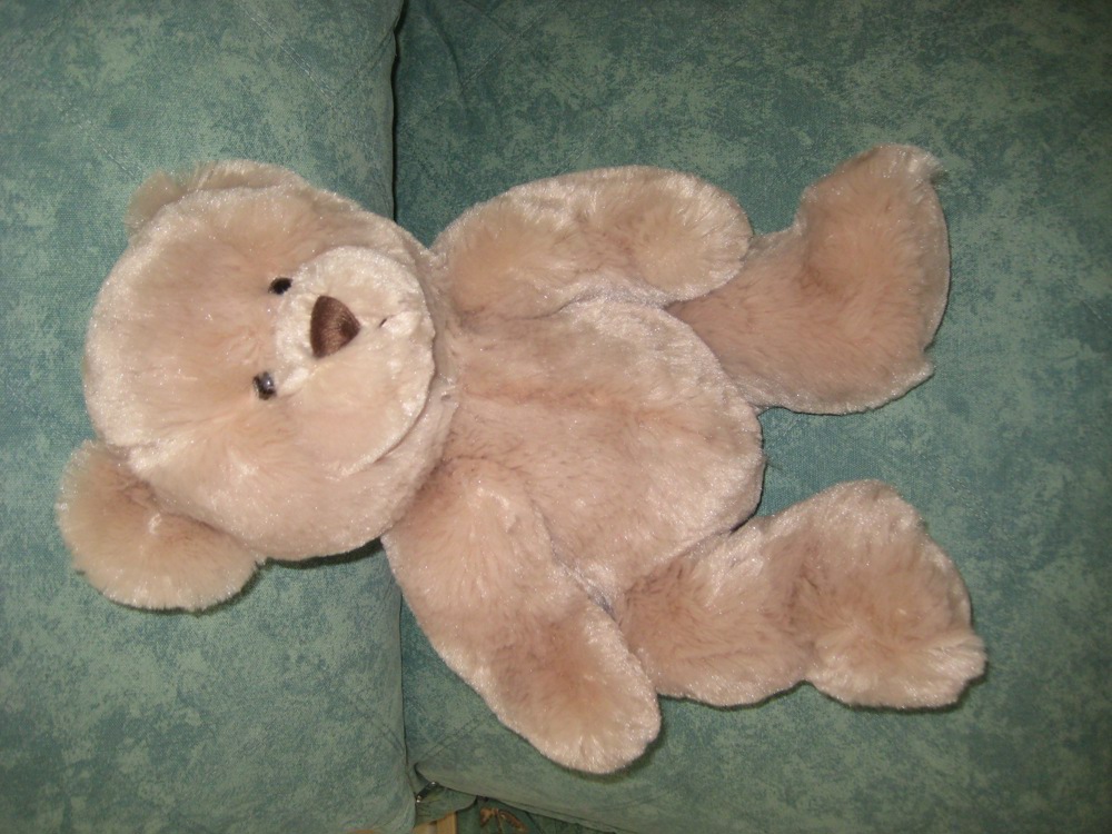 Flauschiger Teddybär