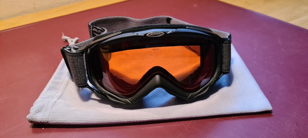 Alpina Damen- Skibrille