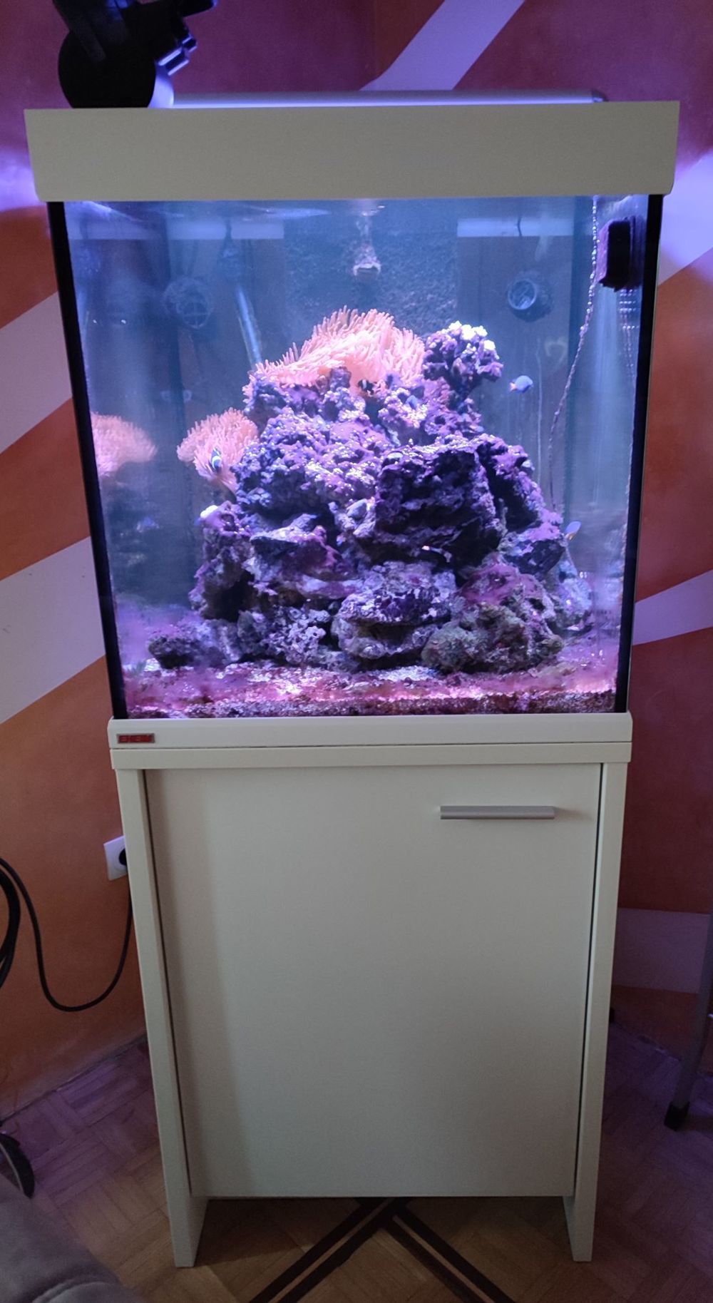 EHEIM Meerwasser Aquarium Scubacube 270l Marine komplett mit Technik