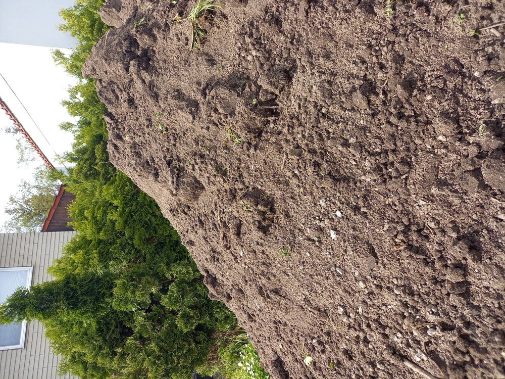 Gartenaushub, Mutterboden zu verschenken
