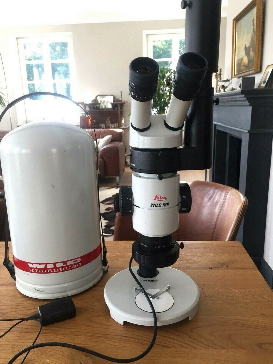 Leica Mikroskop Wild M8 mit Fototubus HU 404891 für M-Serie+PCL300 Standard