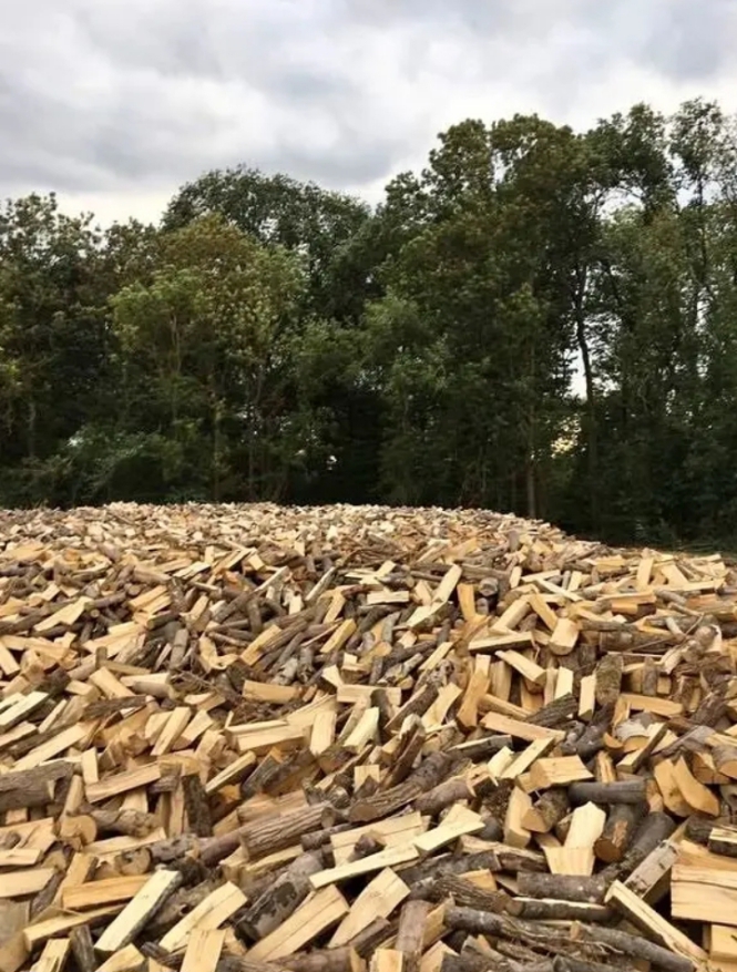 Trockenes, hartes und gebrauchsfertiges Brennholz