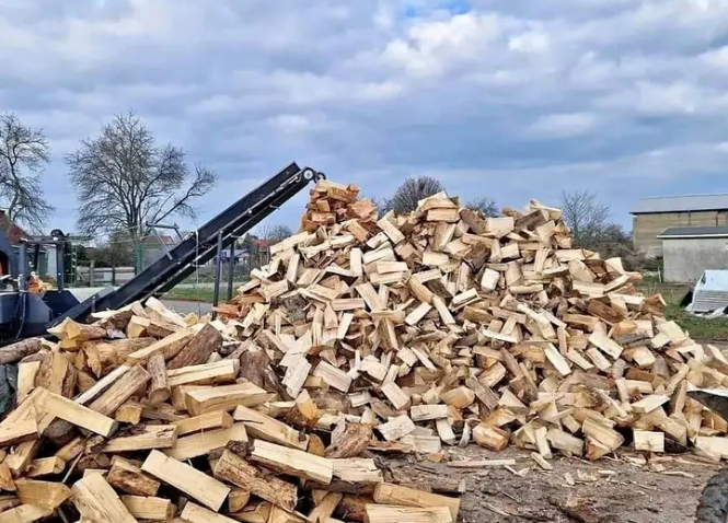 Trocken und hart: Brennholz