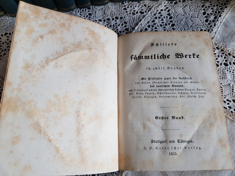 antike Ausgabe "Schillers Werke" in 12 Bänden plus 4 Ergänzungsbände