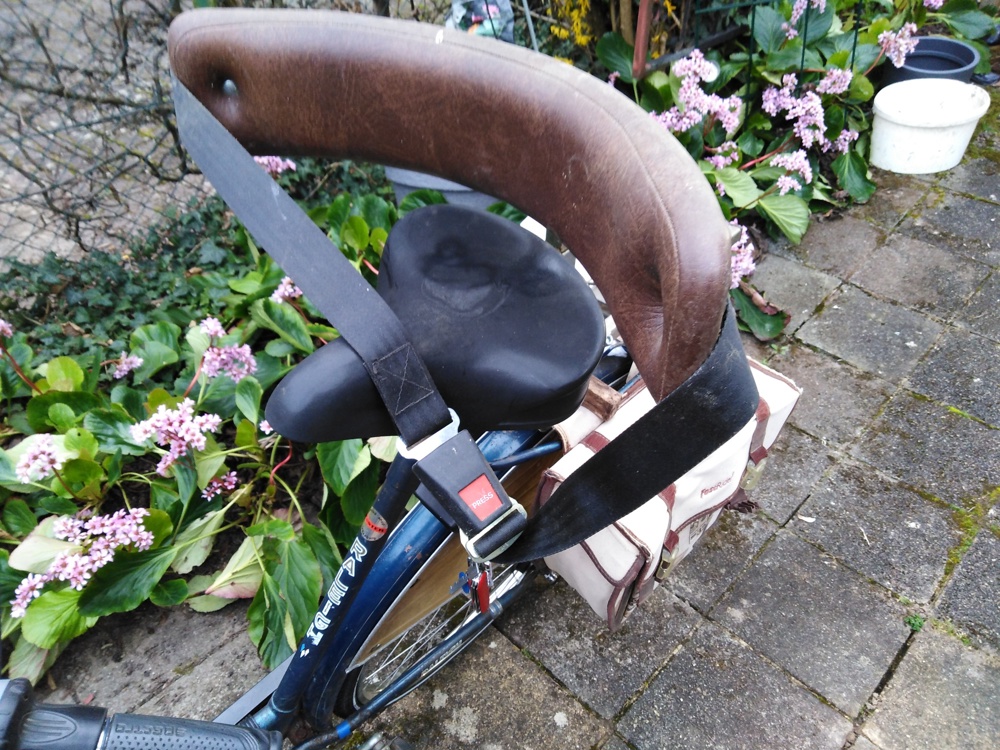 Rückenlehne für Fahrrad mit Sicherheitsgurt 