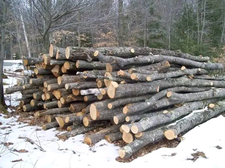 Holz in gutem Zustand sofort verfügbar