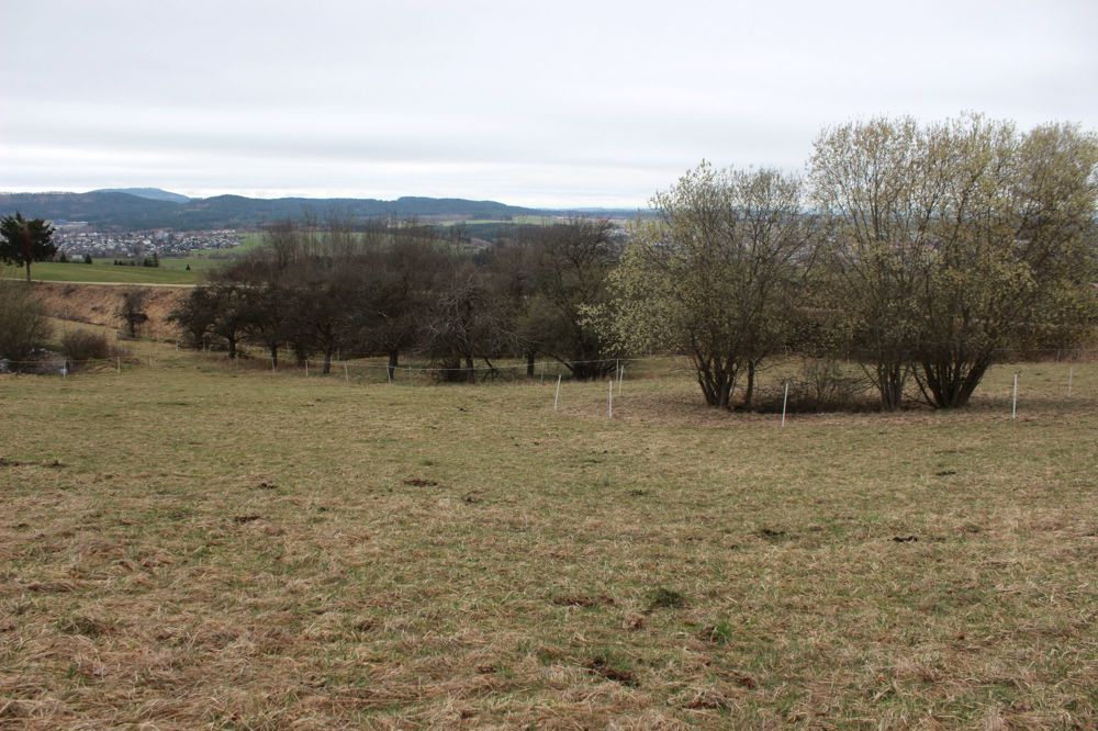 Gartengrundstück, Streuobstwiese, Weide, Freizeitgrundstück , Bienenhaltung .