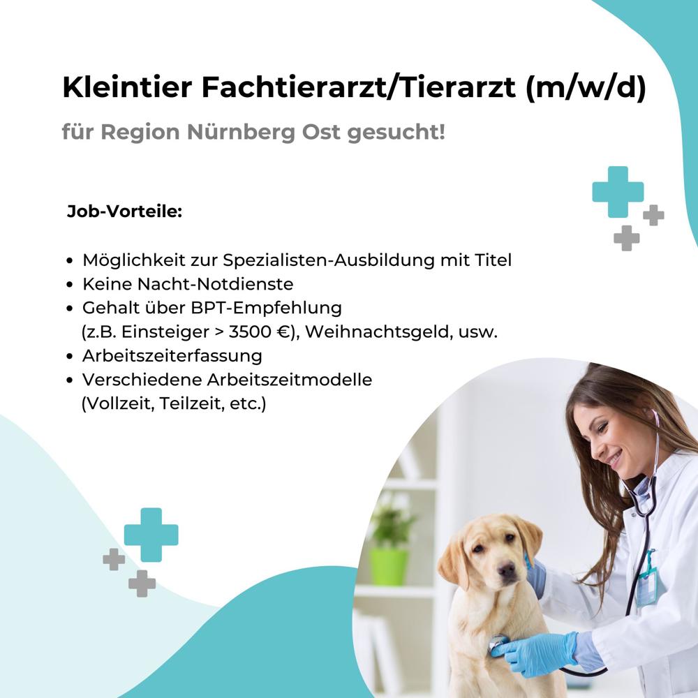 Kleintierpraxis Nürnberg Ost sucht Fachtierarzt Tierarzt (m w d)