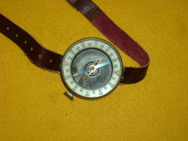 Armkompass
