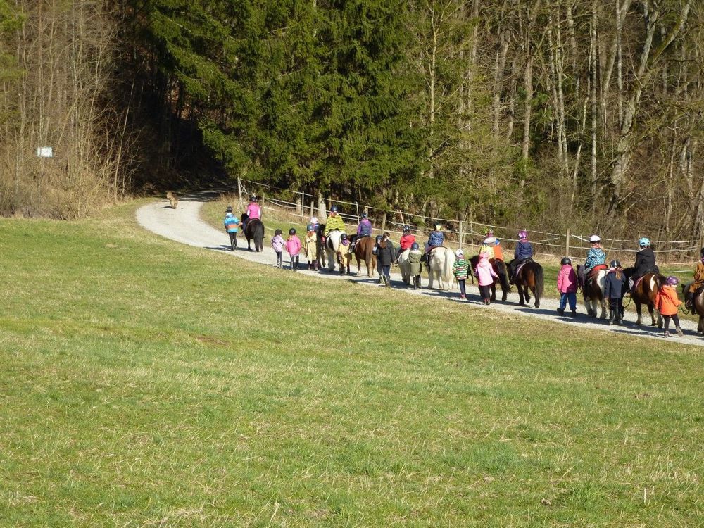 Schnuppernachmittag ab 4jahre   74538 Pferdehof Dendelbach
