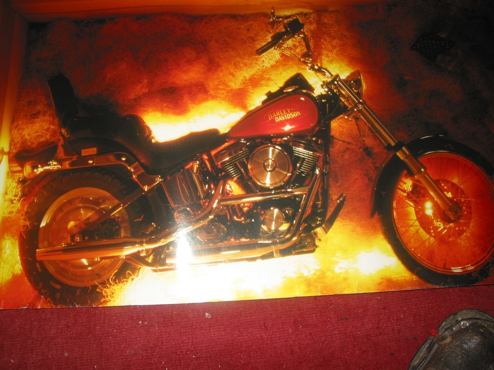 Harley - Poster ca.80 x 60 cm