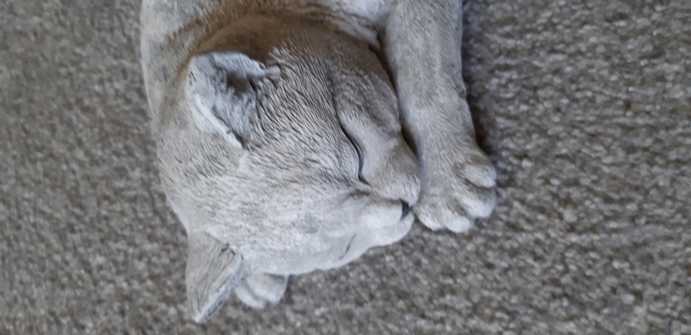 Steinfigur schlafende Katze, ca. 38 cm groß, neuwertig