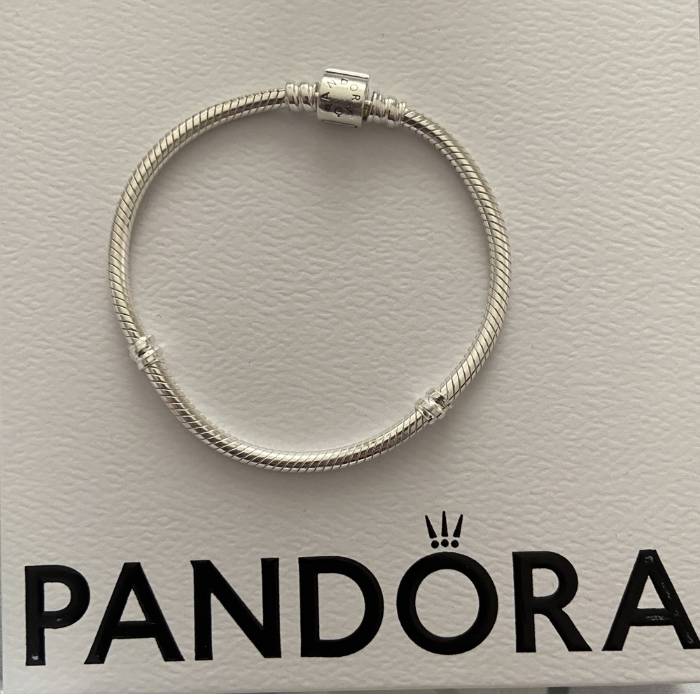 Pandora Charm Armband