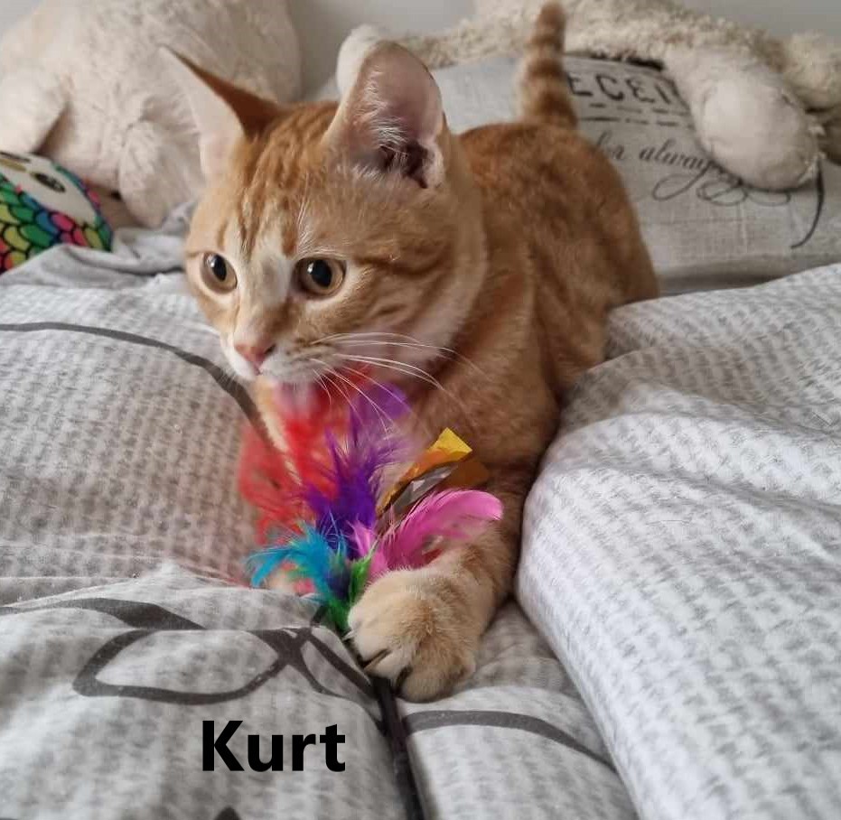 Kurt und Rudi auf der Suche nach Ihrer Familie