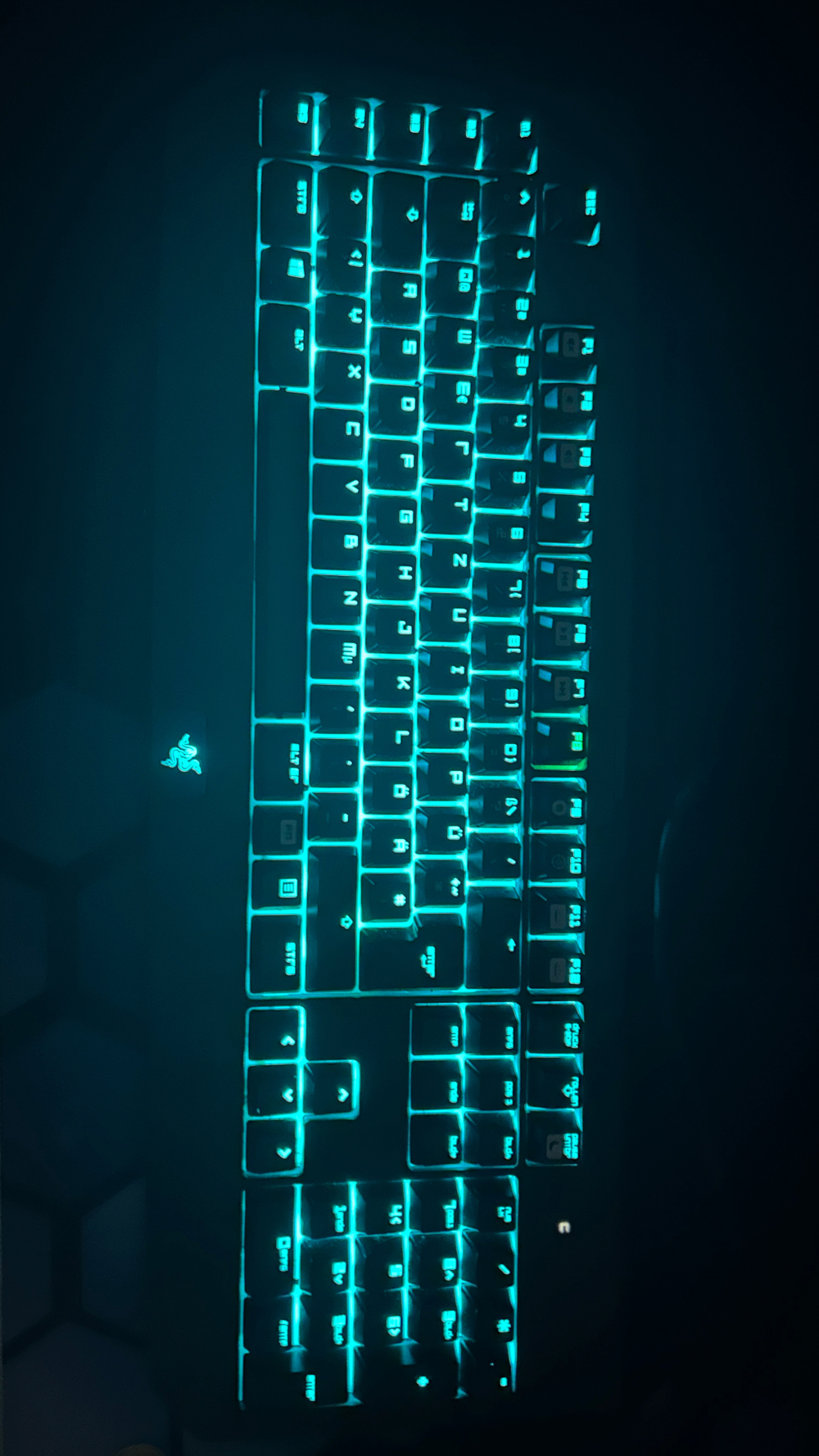 Razer Tastatur 