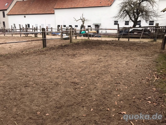 Pferdestall in Bellheim