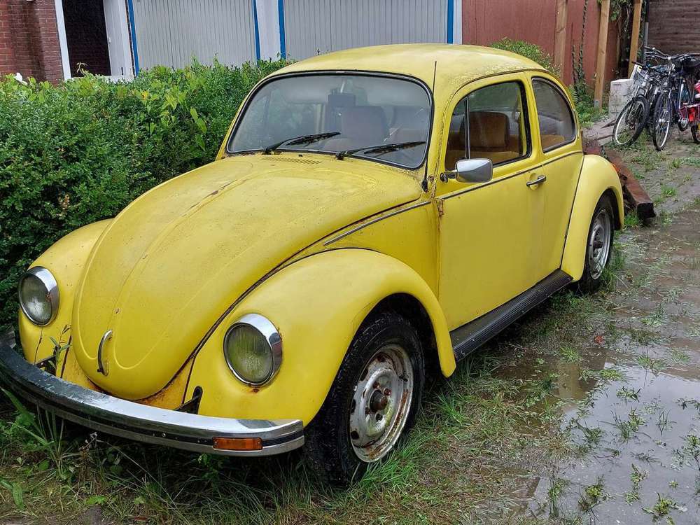 Volkswagen Käfer "Sunny Bug"