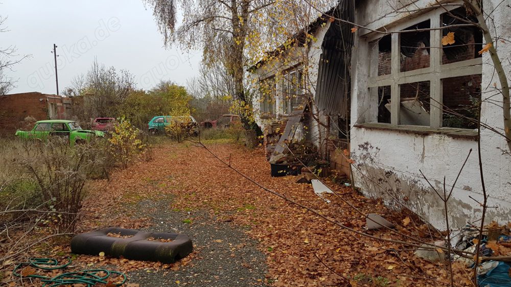 Haus mit Garten für Pferde Autos Hunde Wohnen