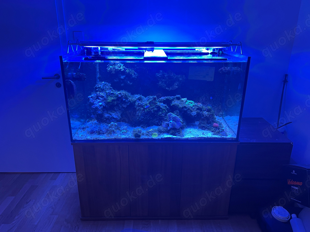 Meerwasseraquarium 450L - komplettset 