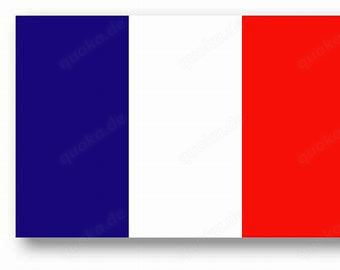 Französisch Nachhilfe von Studentin und Muttersprachlerin 40EUR 60min