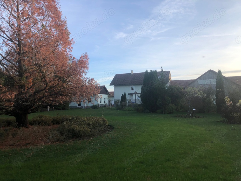 Großes Bauernhaus in Alleinlage nähe Osterhofen ab Juni zu vermieten.