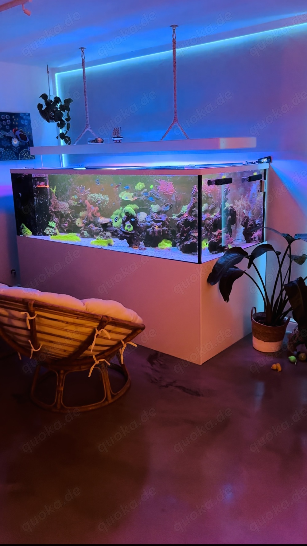 Meerwasser Aquarium 1600l inkl. kompletter Technik 