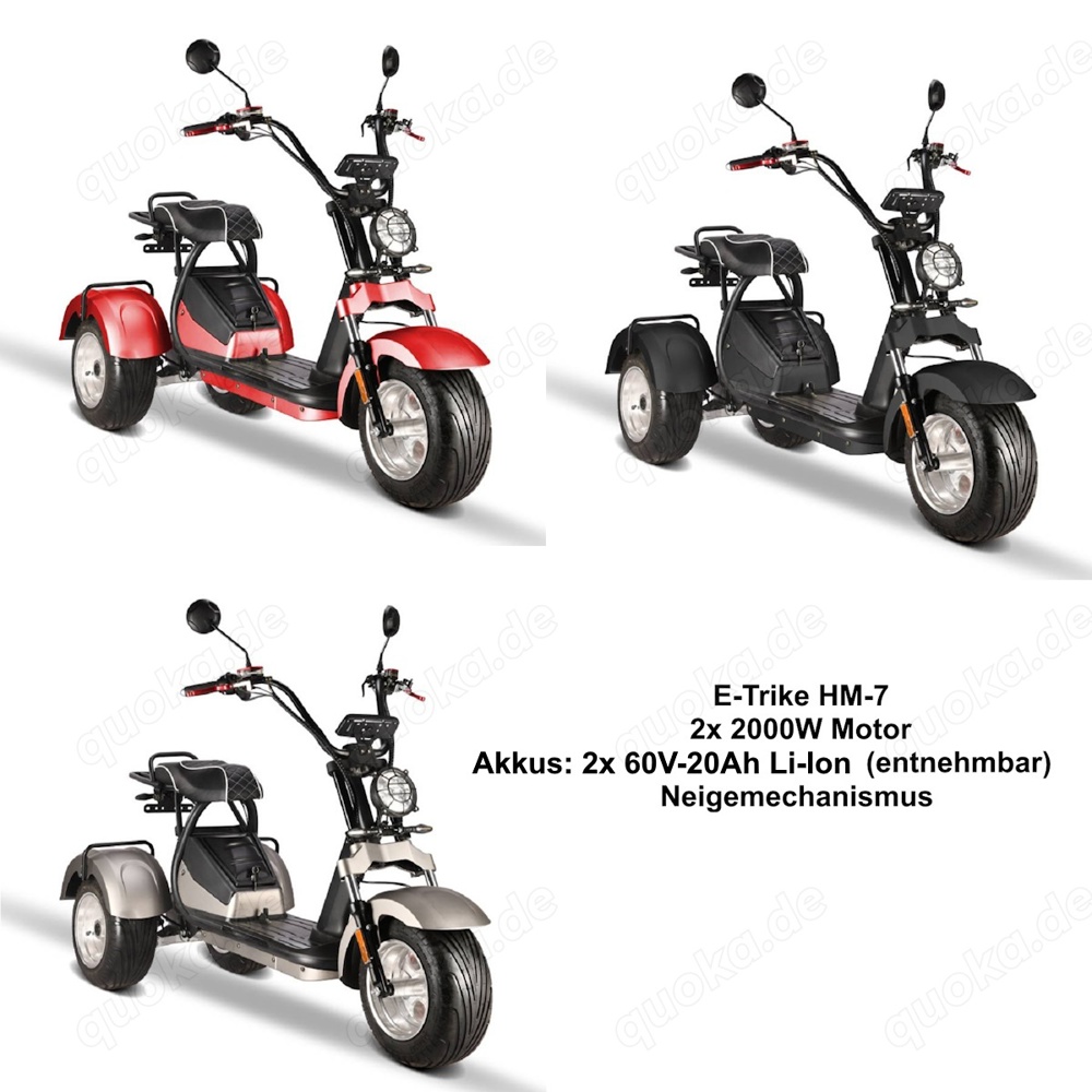 Coco Bike E-Scooter E-Trike HM7 4000W 2x20AH Akkus