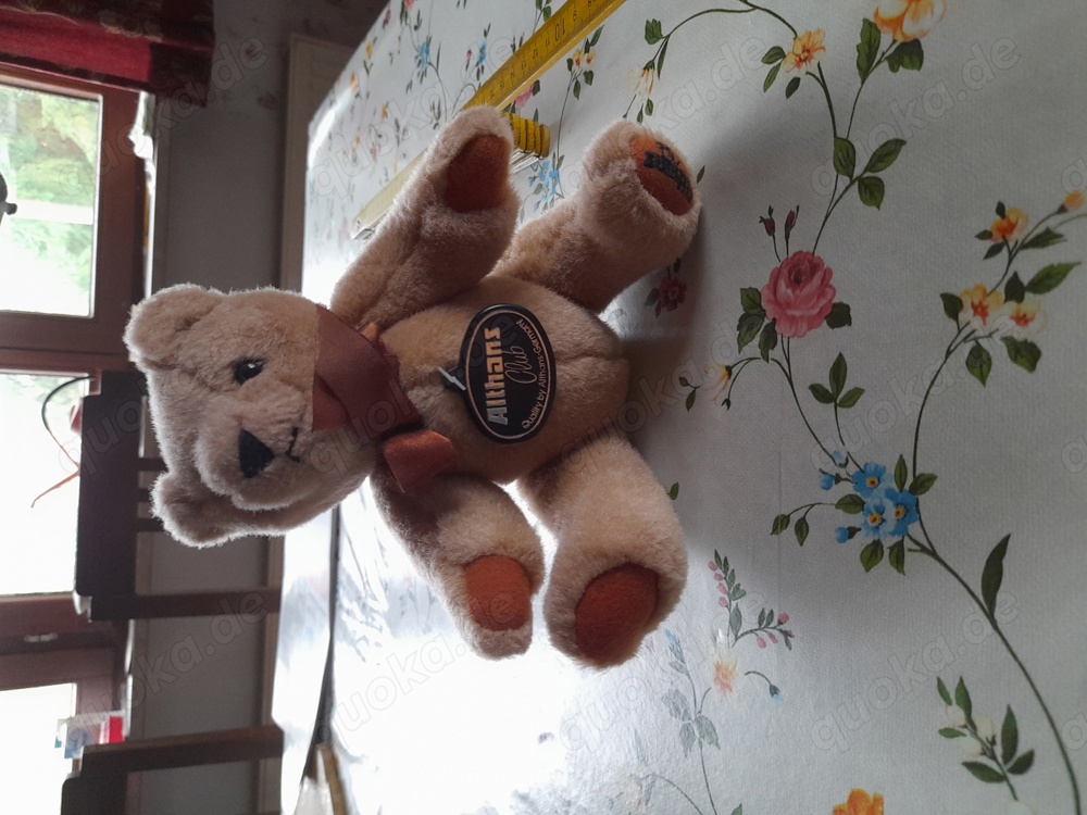 kultiger Teddybär 
