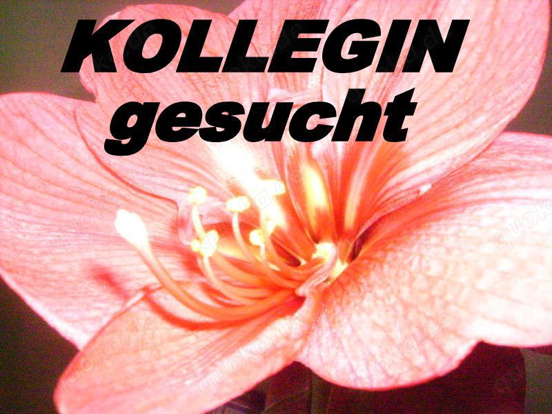 Kollegin gesucht für Wellness - und Tantra- Massagen