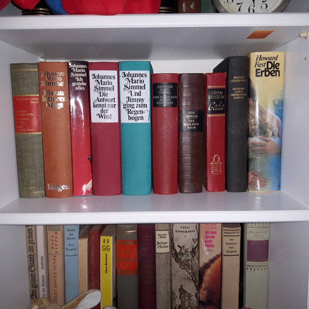 1 Kiste Bücher 