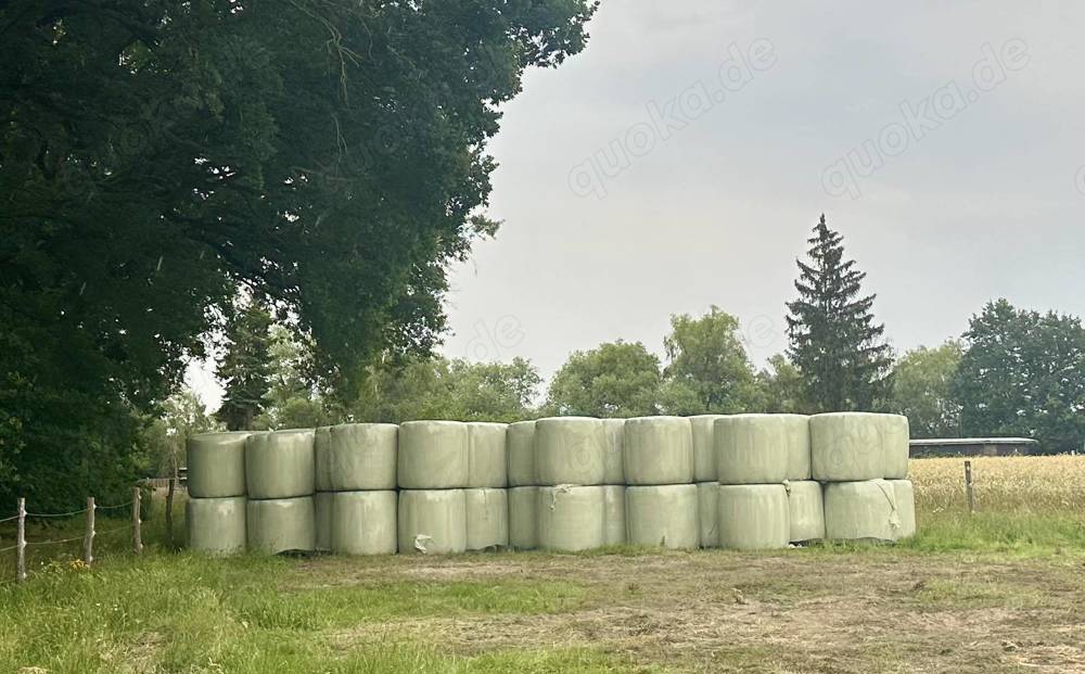 Angebot einzelner Paddockboxen im neuen Allergiker-Stalltrakt 