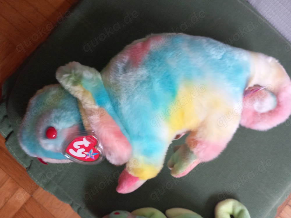 Ty "Iggy" Beanie und Buddy im Bundle Ty "Iggy" Beanie und Buddy im Bundle