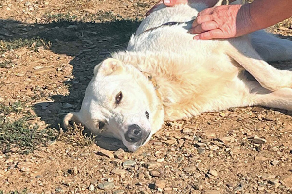 Sammy wartet auf dich 