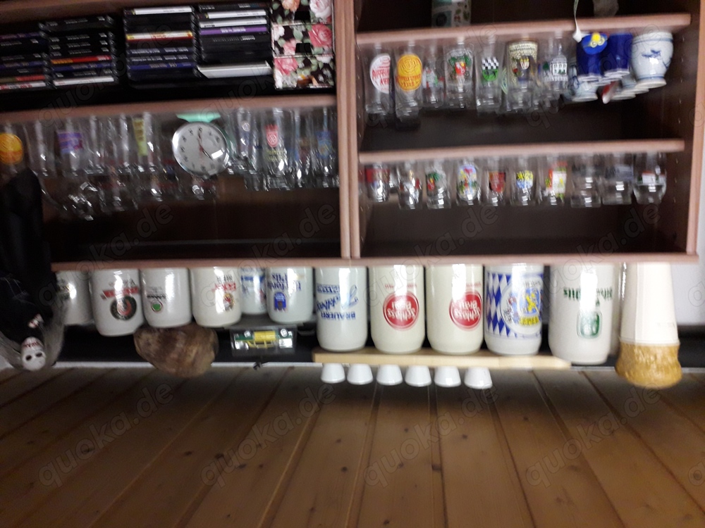 Bierkrüge ( 1l  0,5l )