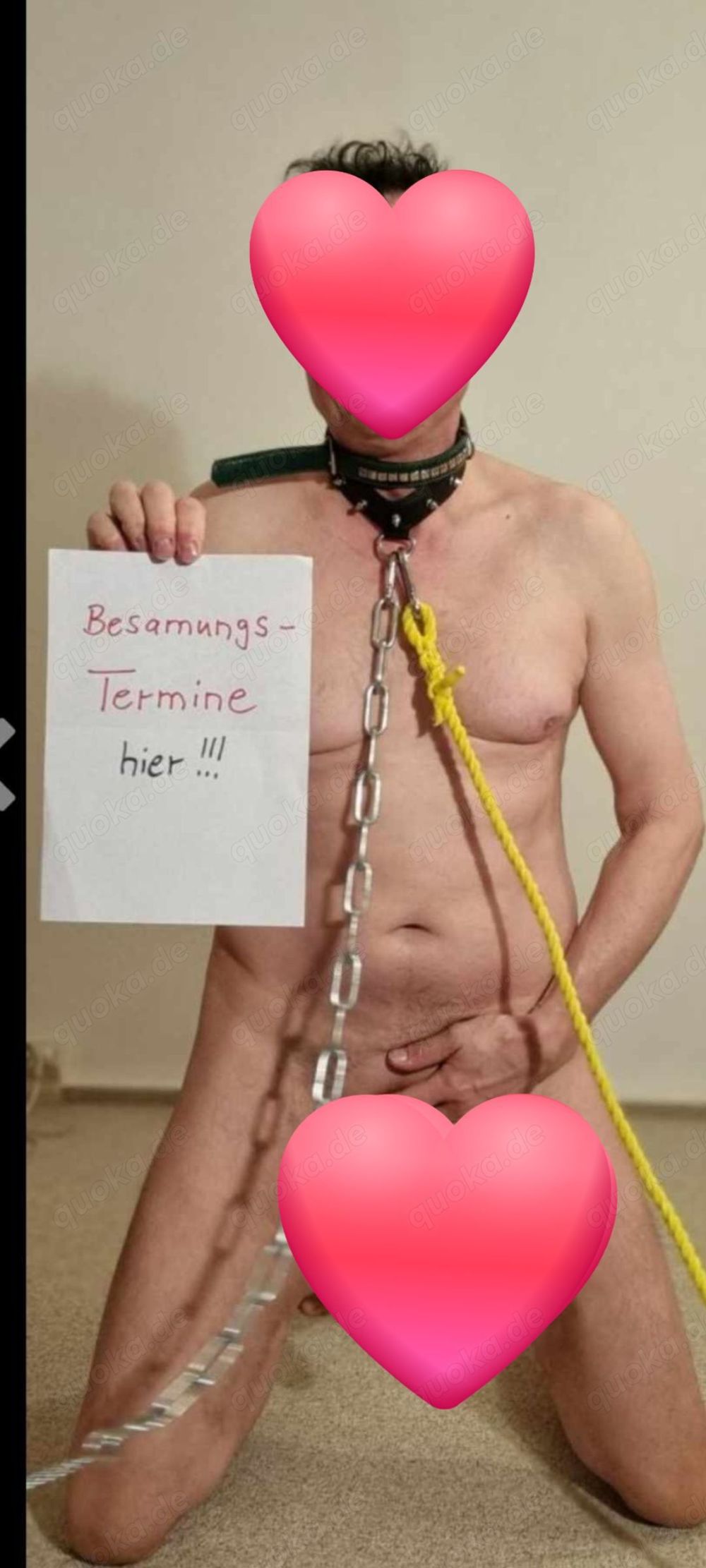 Fruchtbarer Chemnitzer Sexdiener sucht dominante Frauen 