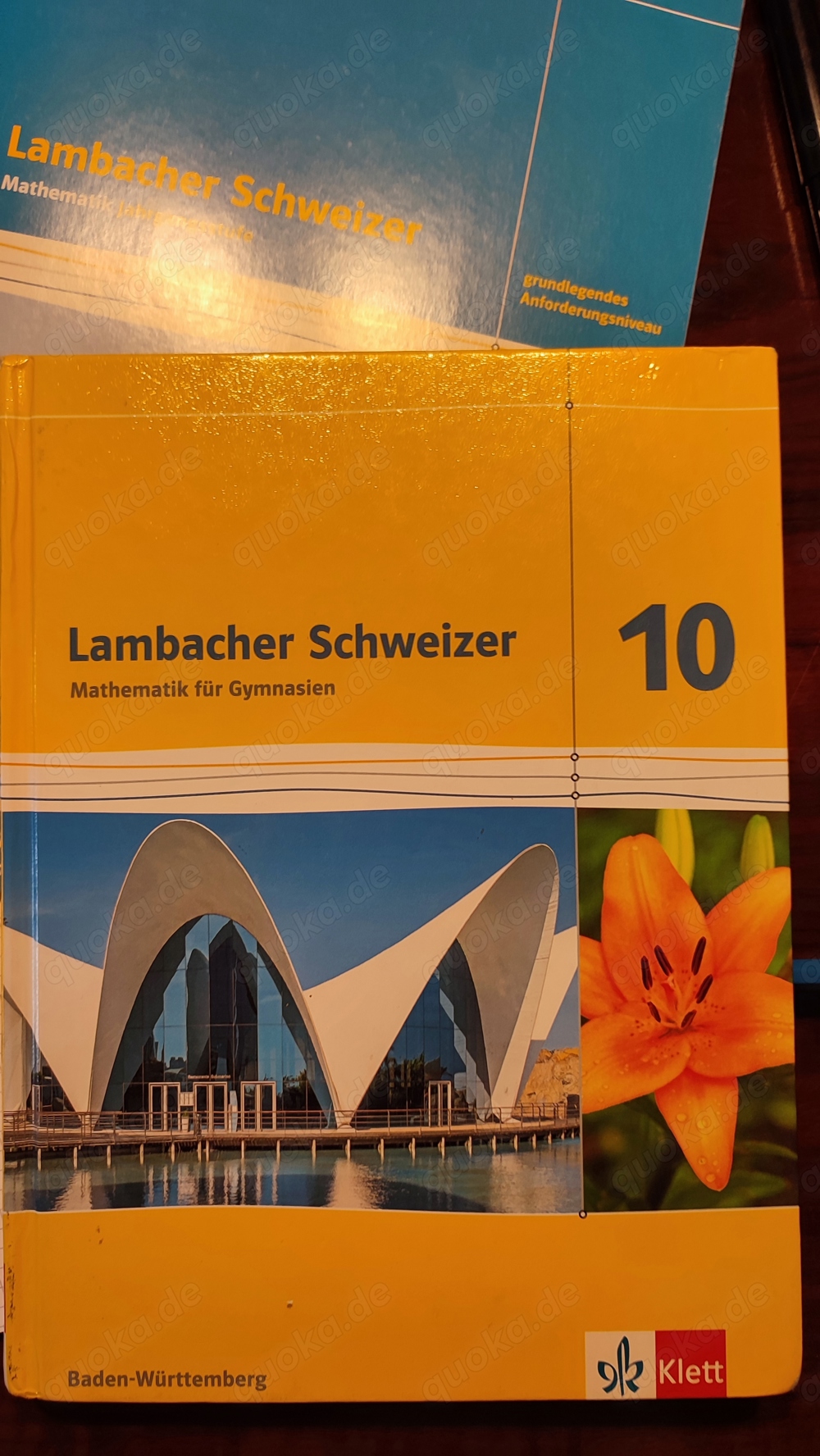 Mathe Physik Latein Französisch u.a.