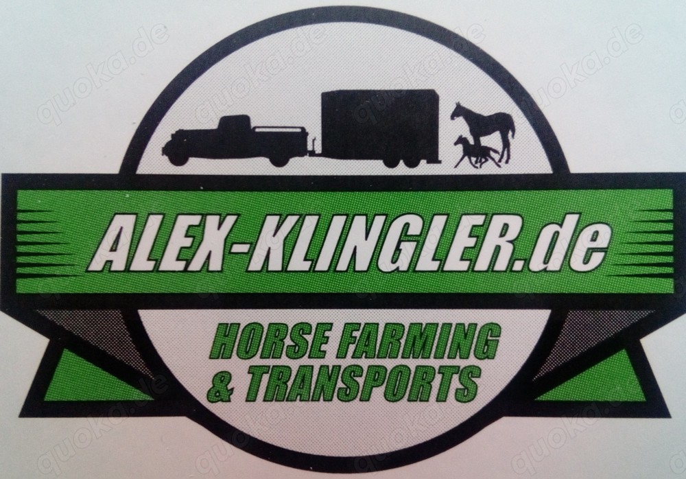 Professionelle Fohlentransporte