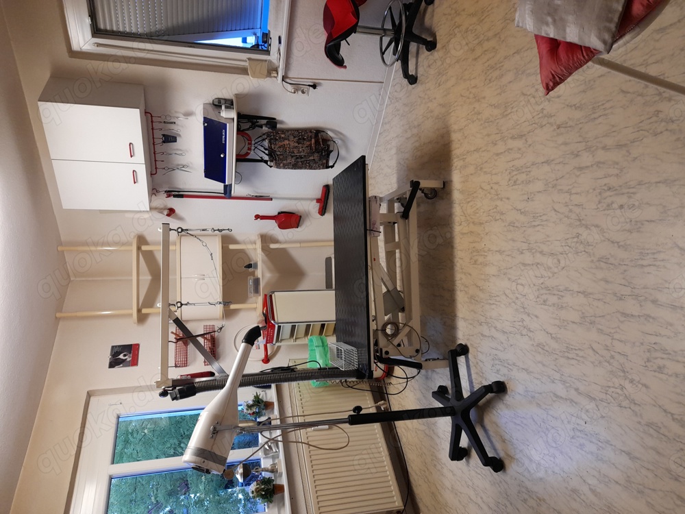 Hunde - Salon -Ausstattung