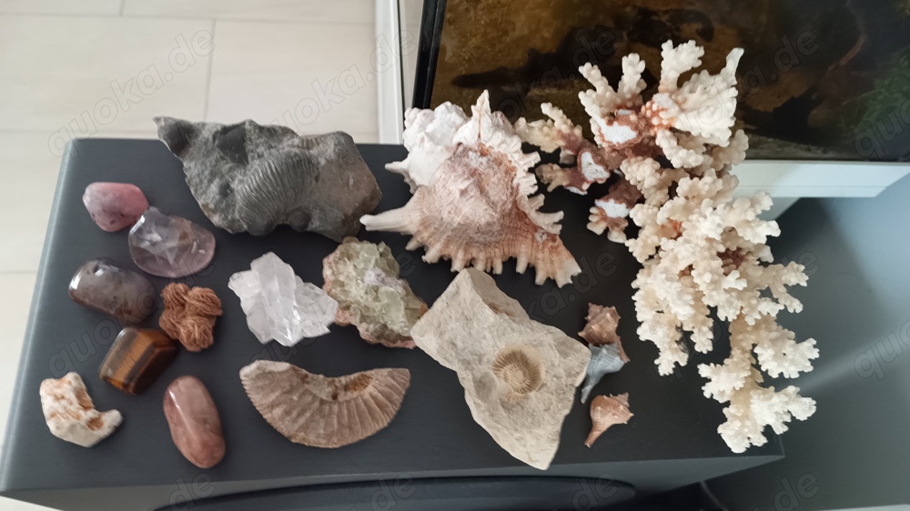 Mineralien Sammlung Kristall