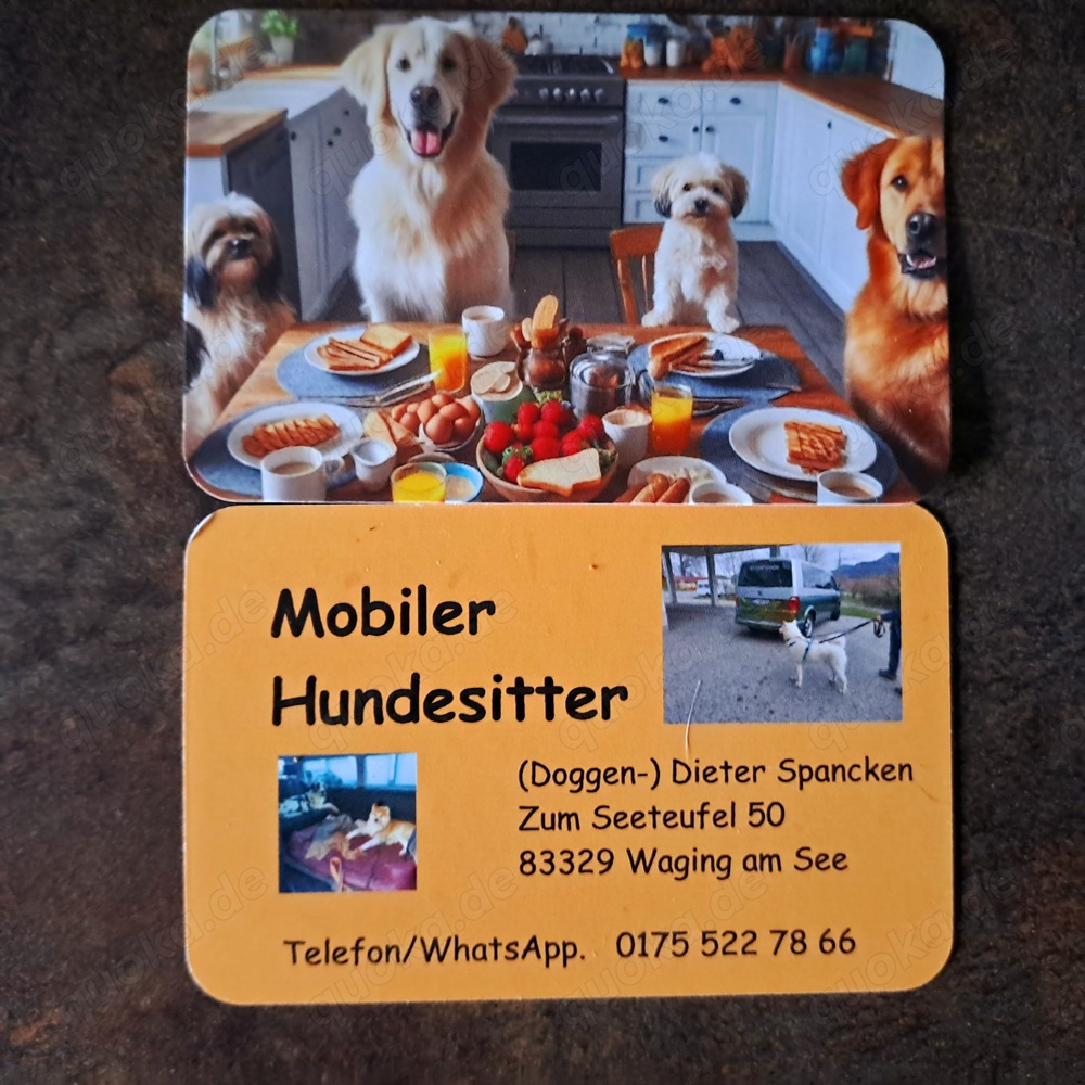 Mobiler Hundesitter in Waging und Umgebung 