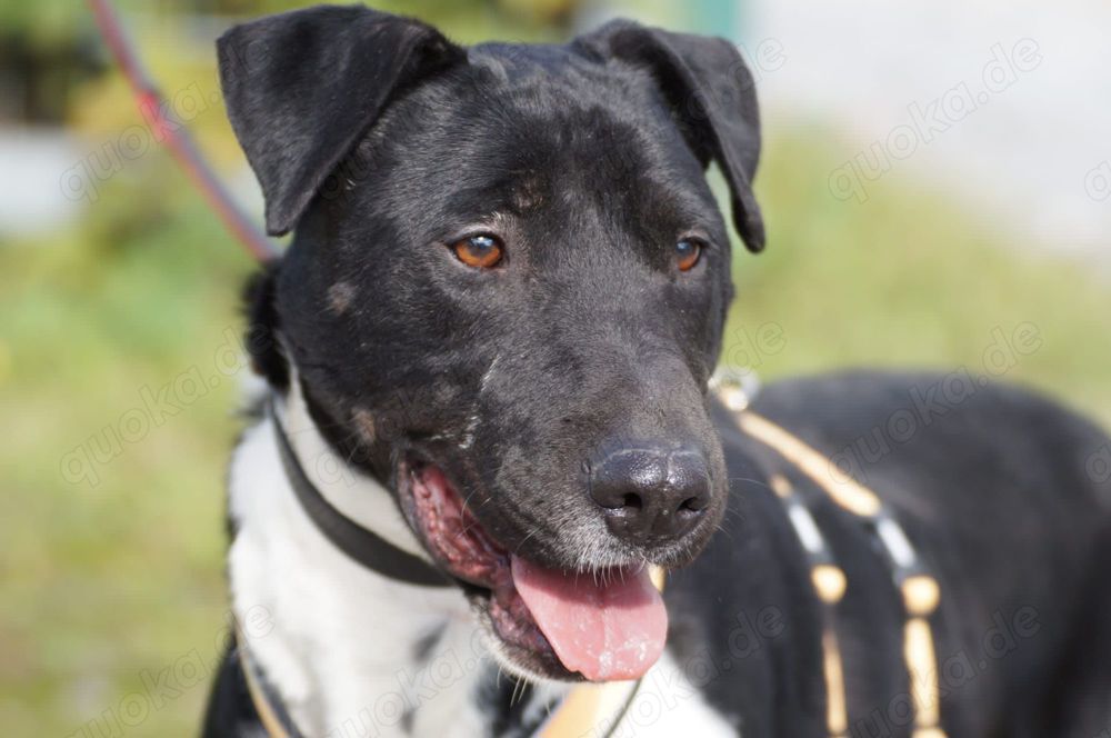 Ikem sucht aktive Menschen