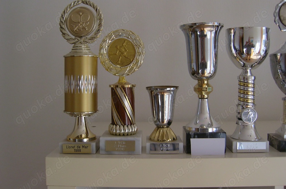 9 Tennispokale , stehen nur auf dem Regal,TOP Zustand. 4. Pokal v. links gesehen ist verkauft BILD 