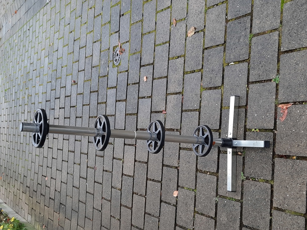 Felgenbaum Felgenbaum