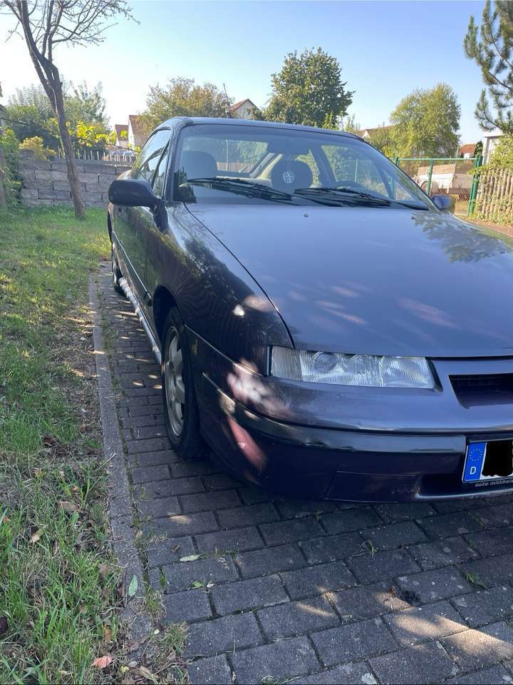 Opel Calibra Young